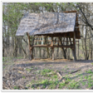 Hagymatikum Kupa tájékozódási futóverseny