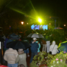 Hagymafesztivál: Bikini koncert képekben