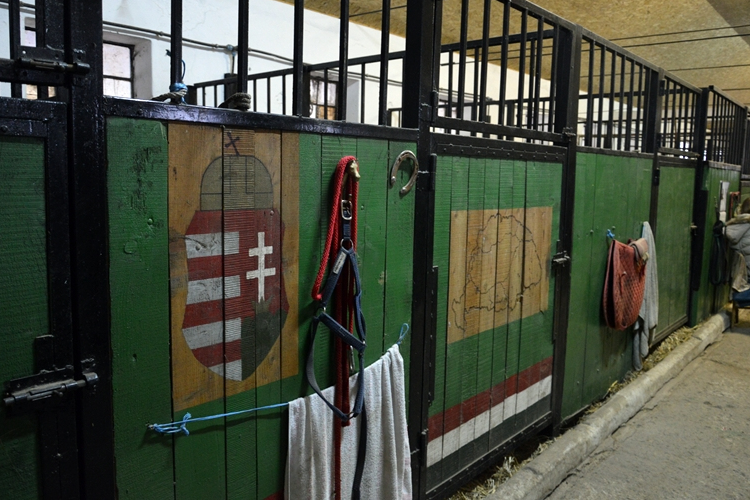 Felújították a Vásártéri Lovardát