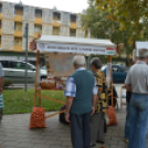 Szombat a Hagymafesztiválon