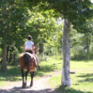  I. Torontál Kalandtúra 