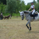 Gyermeknap Lóháton