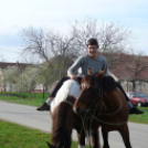 Ló és lovasa című fotókiállítás