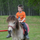 Pillanatképek a makói majálisról