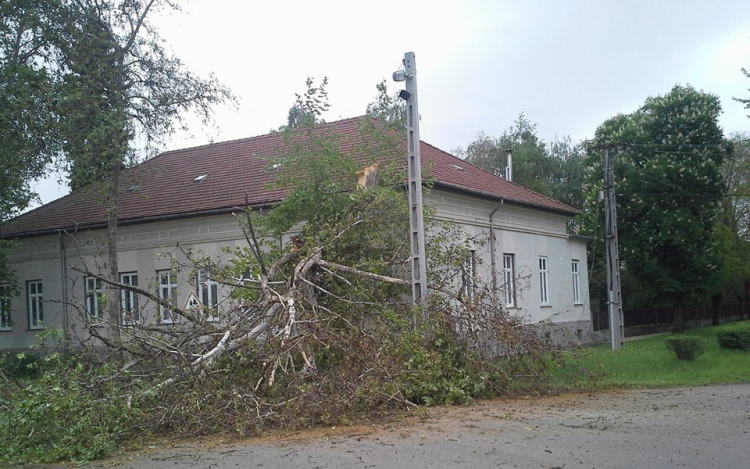 Hatalmas lombkorona akadályozza a forgalmat az Erdélyi Püspök utcán