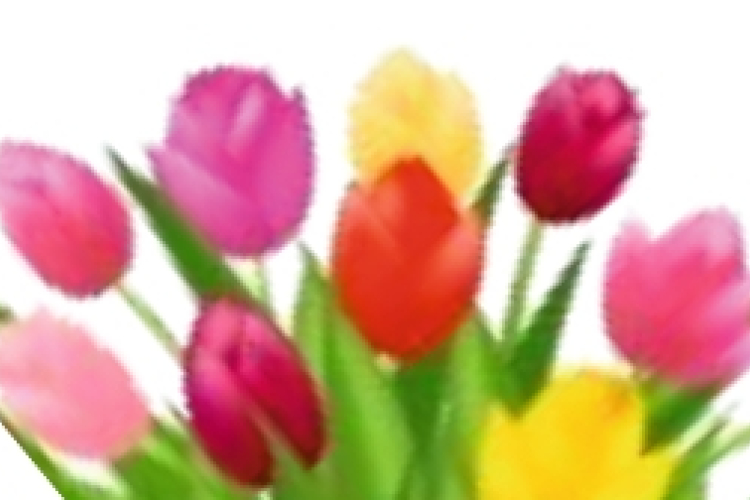 ÓVODAI BEÍRATKOZÁS TULIPÁN UTCAI ÓVODÁBA