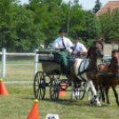 Ló és lovasa című fotókiállítás