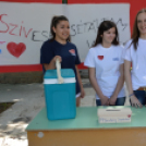 SZÍVesen sétálnék veled