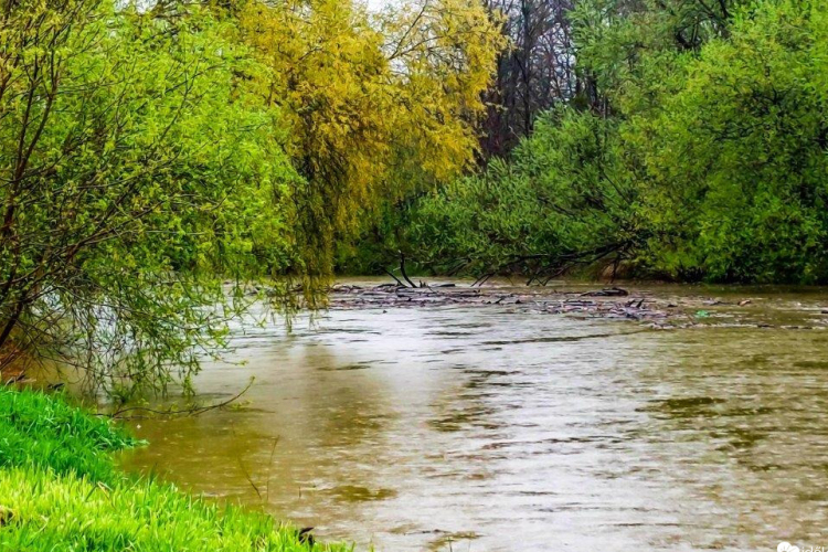 Áradás miatt egy szigeten rekedtek kirándulók a Rábán, tűzoltók segítettek rajtuk