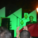 Hagymafesztivál: Bikini koncert képekben