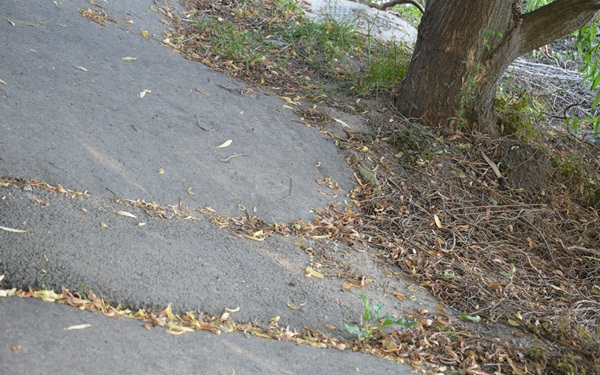 Beindul a járdaprogram!