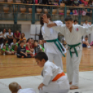 Családi Sportnap Makón