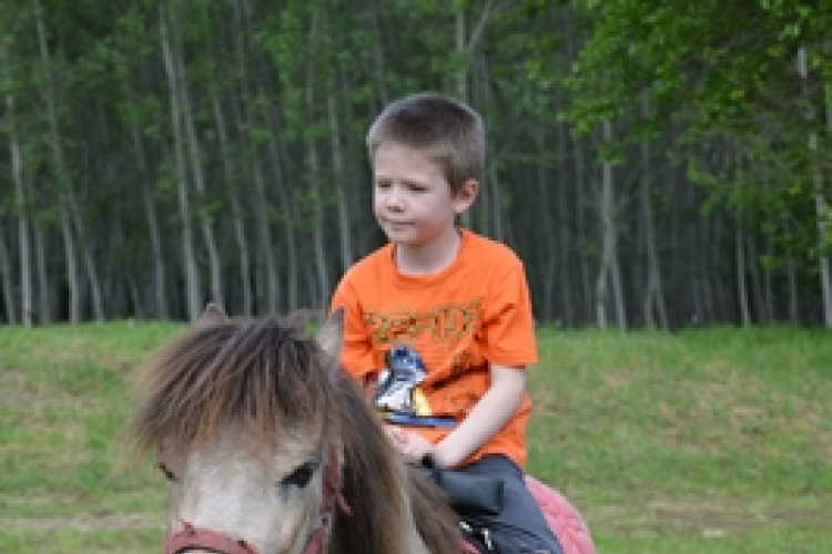 Pillanatképek a makói majálisról