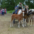 Gyermeknap Lóháton