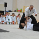 Családi Sportnap Makón