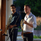 Harsonaszó a Zenepavilonban