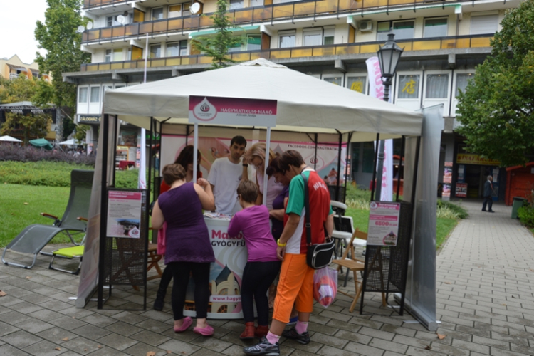 Szombat a Hagymafesztiválon