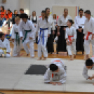 Családi  Sportnap Makón 2.