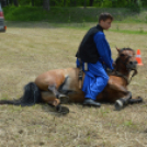 Gyermeknap Lóháton