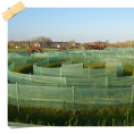 Böjtös Gasztrohétvége