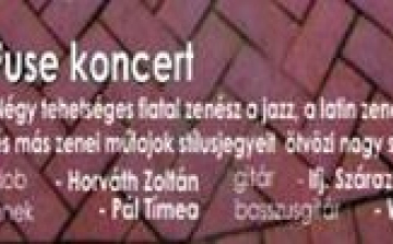 Vasárnapi Zenepavilon: Fuse koncert