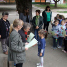 Návay-nap a földeáki Általános Iskolában  Fotó: Vas Szilveszter