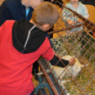 Húsvéti készülődés Földeákon