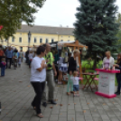 Szombat a Hagymafesztiválon