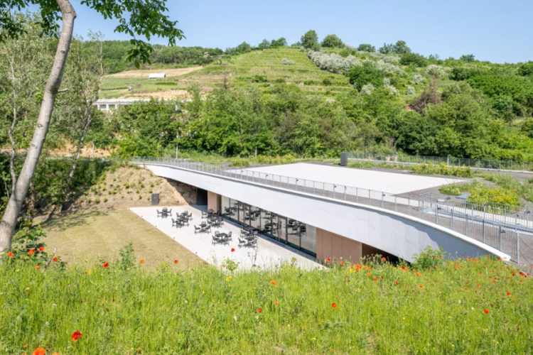 Rangos elismerést kapott a Jánosik és Társai Kft.