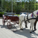Turisztikai konferencia 2014. május 09. Makó