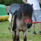 Pillanatképek a makói majálisról