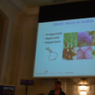 Turisztikai konferencia 2014. május 09. Makó