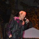 Hagymafesztivál: Bikini koncert képekben