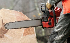 Láncfűrésszel fenyegetőztek Csanádpalotán