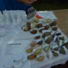 Múzeumok éjszakája - 2014 - Makó