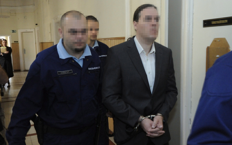 Rendőrgázolás - Tizenöt év fegyházbüntetésre ítélték az osztrák sofőrt