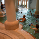 Háromnapos Hagymatikum Fesztivál