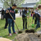 Holokauszt-emléktábla avatás és faültetés