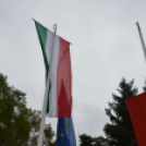 Alakuló ülés és zászlófelvonás Makón