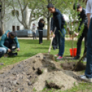 Holokauszt-emléktábla avatás és faültetés