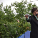 GRILLFESZTIVÁL MAKÓ - Folyamatosan Frissül