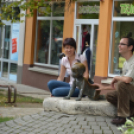 Szombat a Hagymafesztiválon