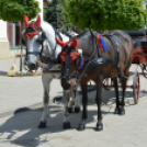 Turisztikai konferencia 2014. május 09. Makó