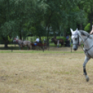 Gyermeknap Lóháton