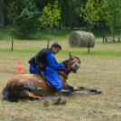 Gyermeknap Lóháton