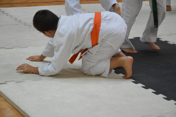 Családi Sportnap Makón