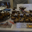 Turisztikai konferencia 2014. május 09. Makó