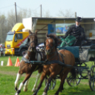 Ló és lovasa című fotókiállítás