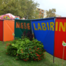 Szombat a Hagymafesztiválon