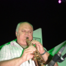 Hagymafesztivál: Bikini koncert képekben